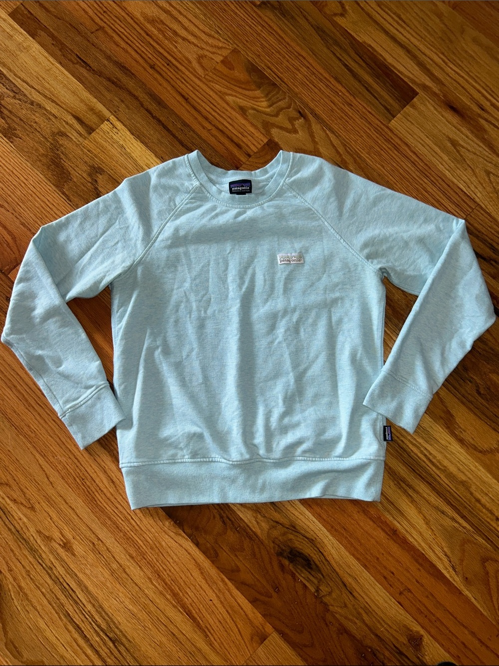 Patagonia Men's Pale Blue Crewneck Sweatshirt